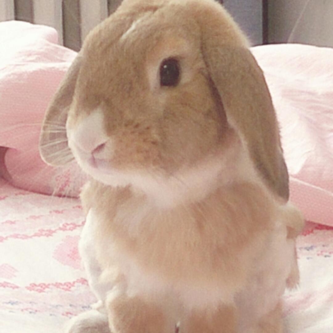 我啊就是我啊对啊