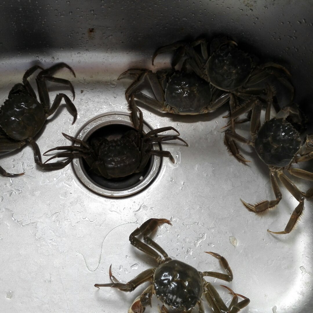 香辣蟹