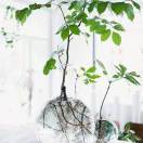 心头一颗朱砂痣