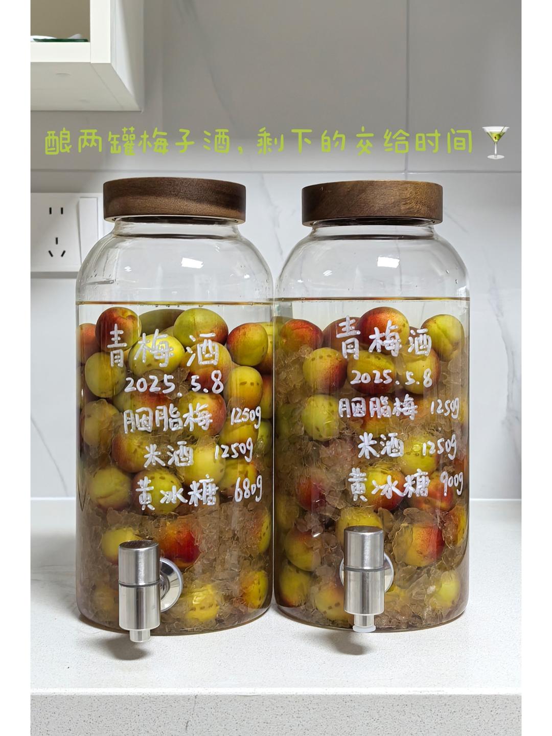 【青梅酒】梅子的沉醉时光（已填坑）