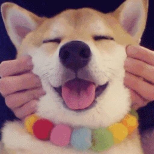 爱下厨的柠檬先生