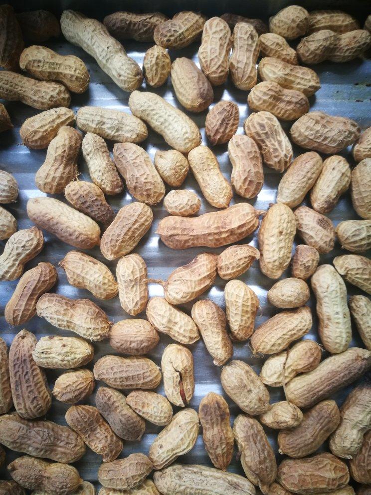 巴山夜雨声做的烤带壳花生