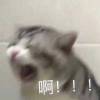 我想静静_wah8