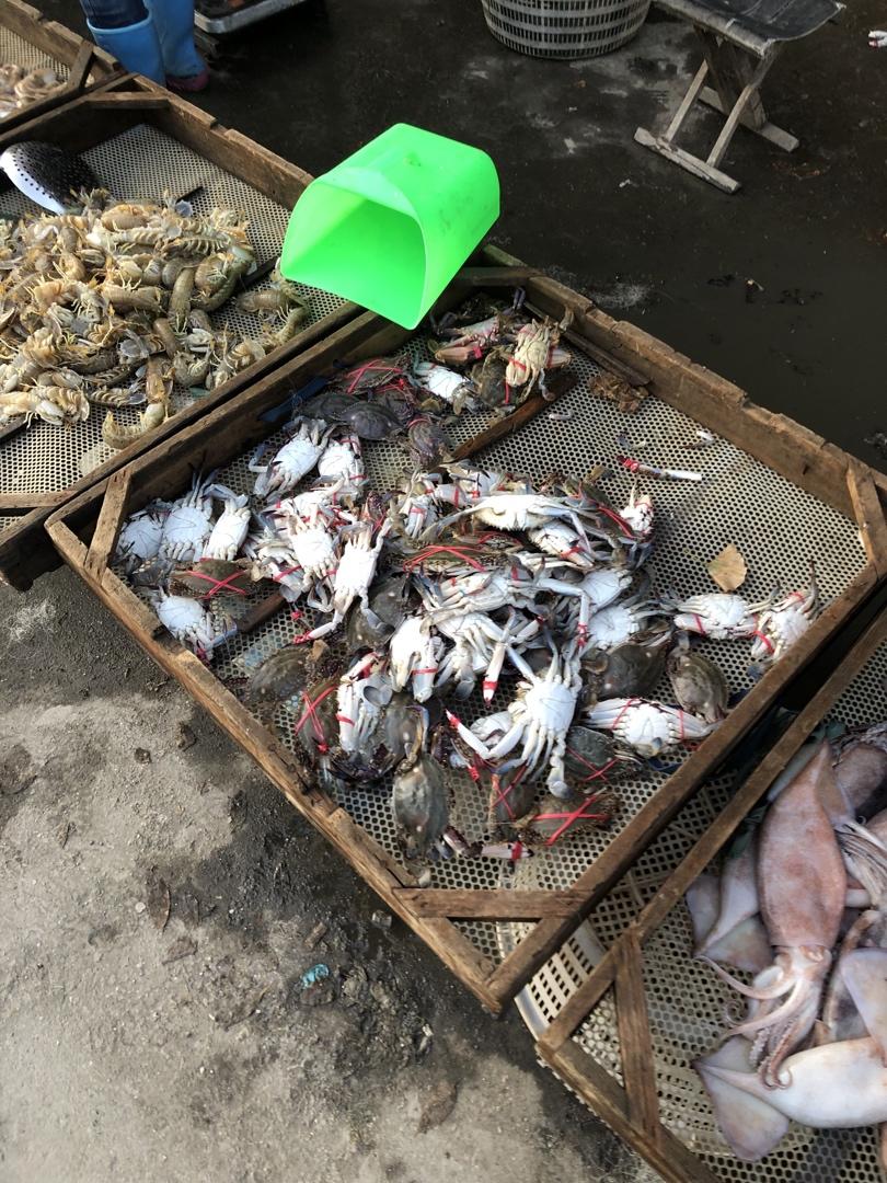 记录我做过的海鲜们