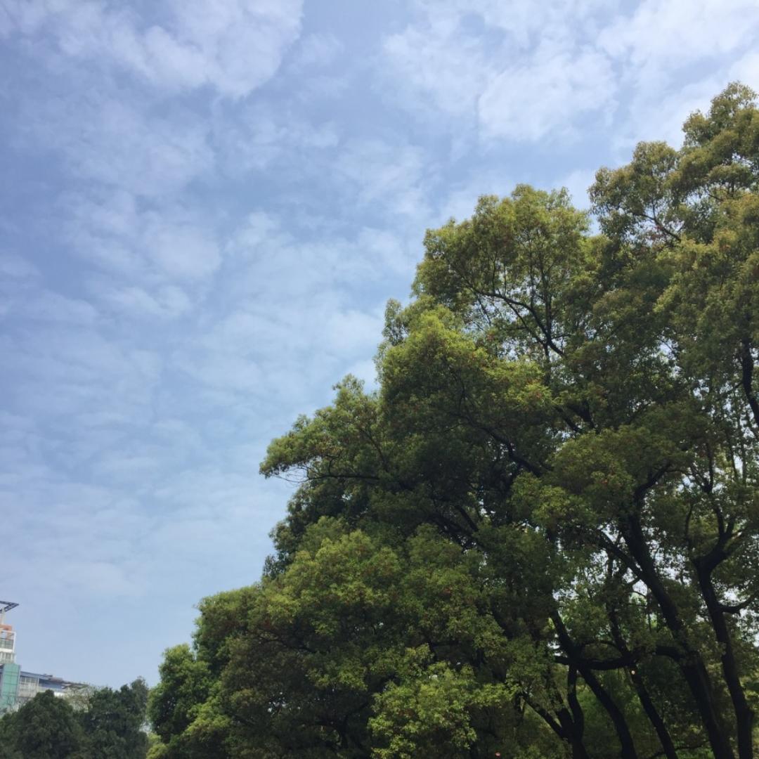 阳光灿烂_6xb7