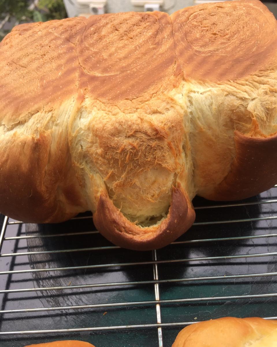 大名鼎鼎的吐司——妃娟100%中种北海道醇奶吐司