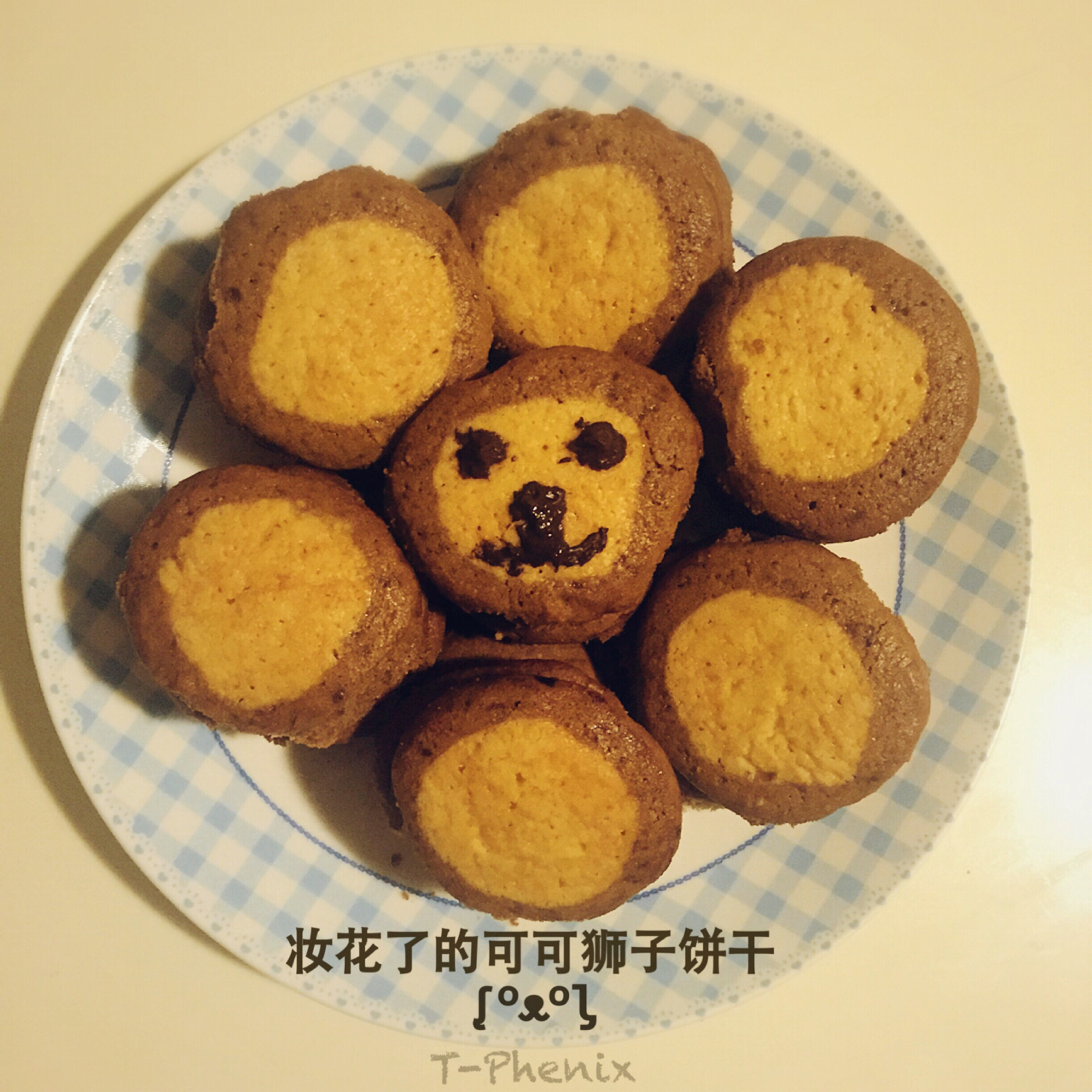萌哭了的可可狮子饼干