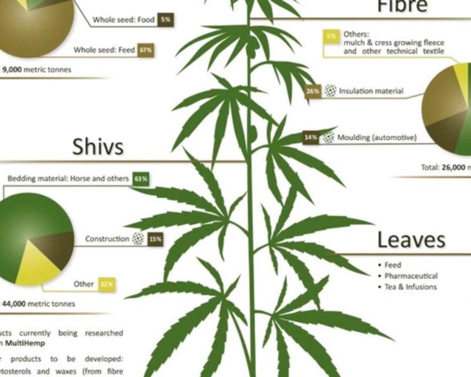 步骤图 Hemp Seed Milk 麻子奶 的做法 Hemp Seed Milk 麻子奶 的做法步骤 菜谱 下厨房