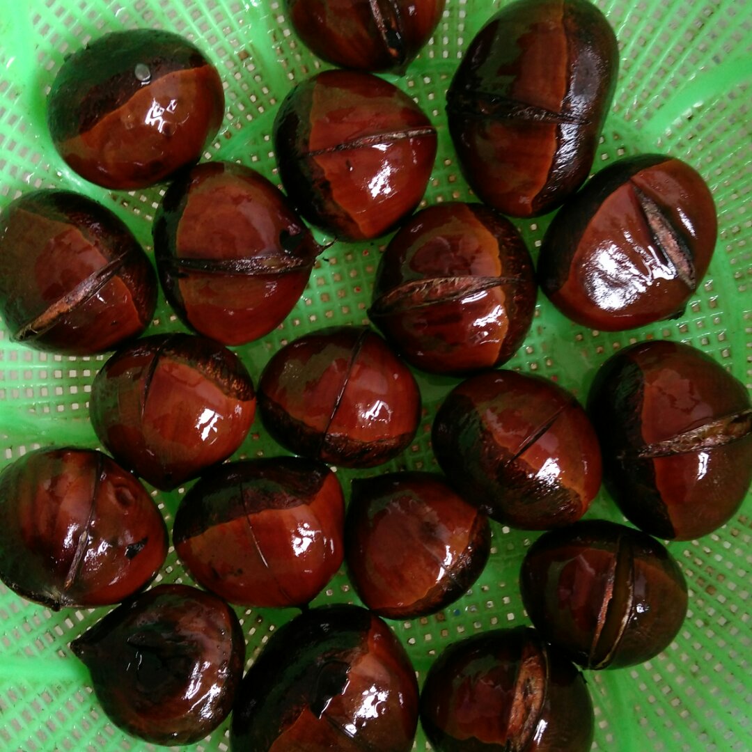 慵懒美丽的栗子