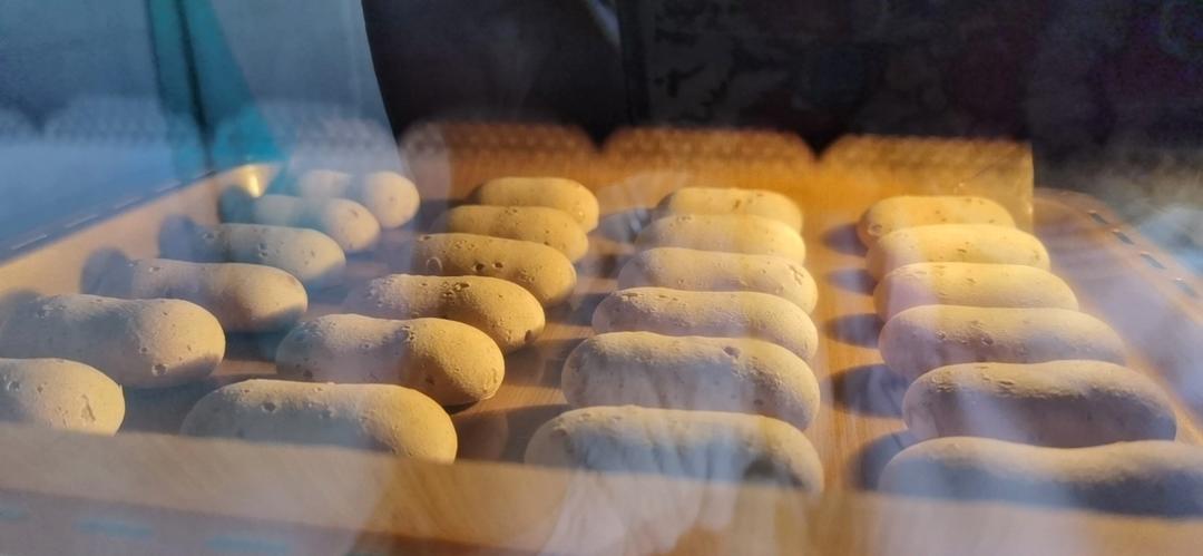 不用预拌粉的手指麻薯包💯成功