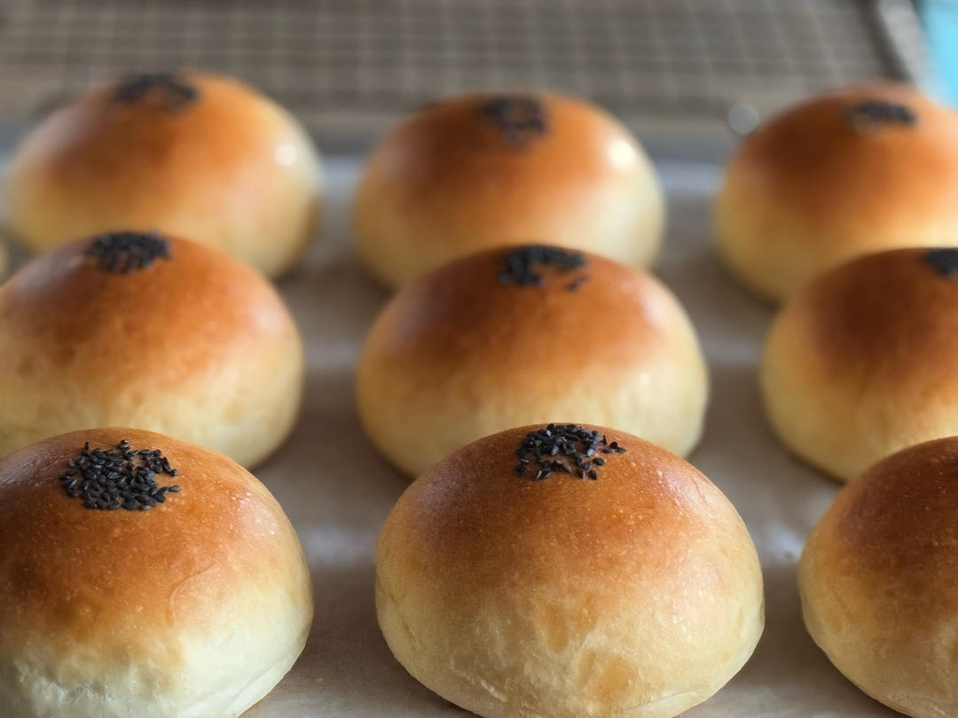 记录一个超级软的万用汉堡胚（波兰种）