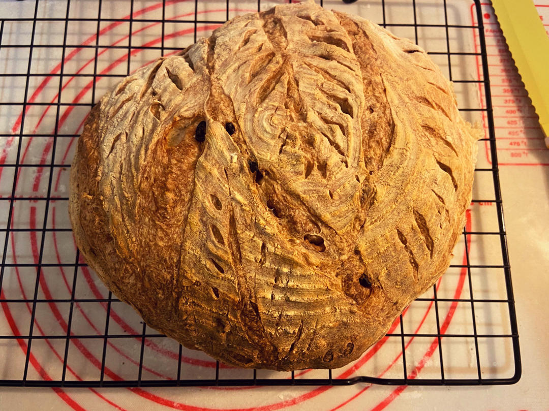 🍞免揉欧包新手入门指南（冷藏发酵、无油无糖）