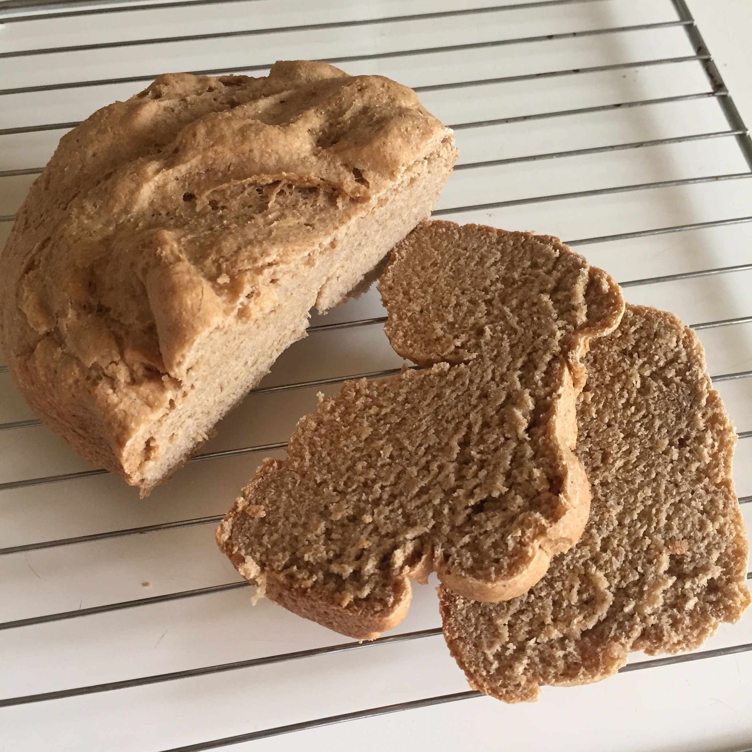 面包机版无糖全麦麸面包-健康粗粮土司面包适合减肥孕妇糖尿病人