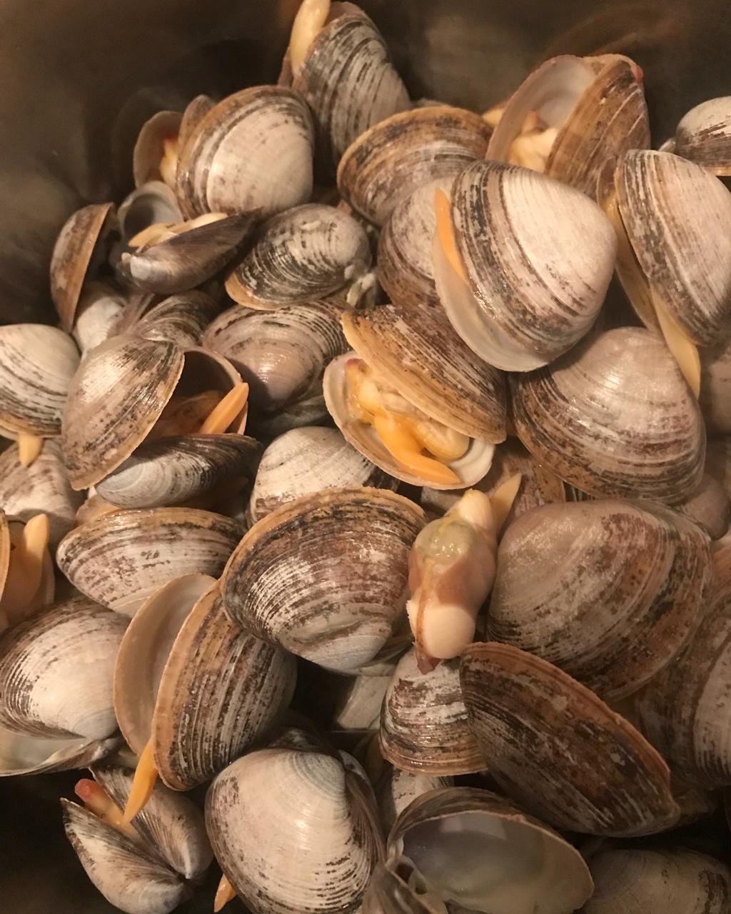 布丁厨房之丹东大黄蚬子