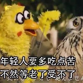 何小喵儿