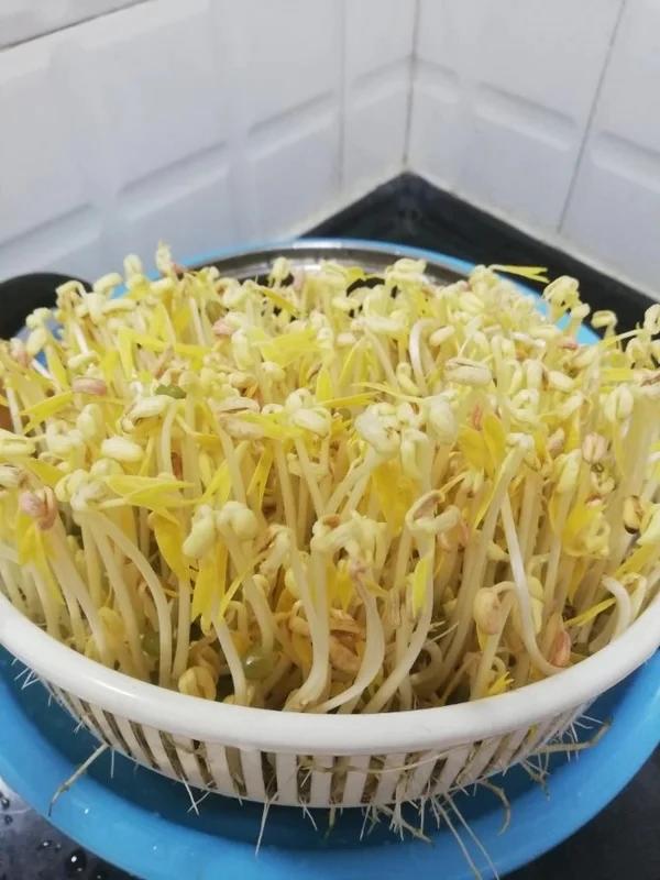 绿豆芽自制的健康