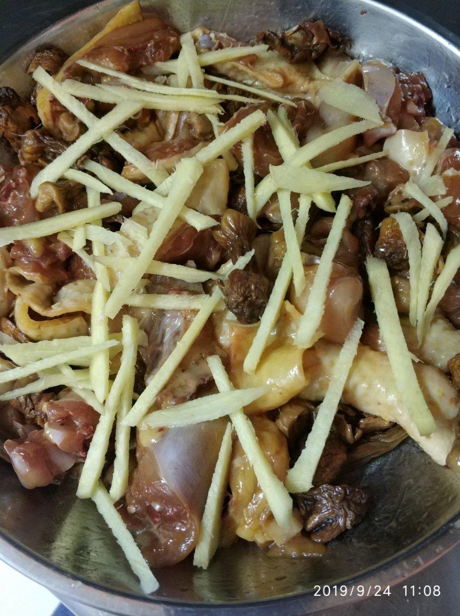 吃出強壯好身体的姬松茸蒸鸡