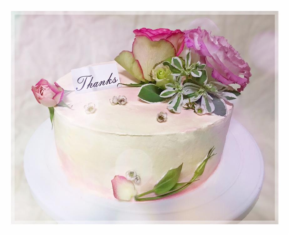 Amore Flower&Cake 梦幻鲜花蛋糕