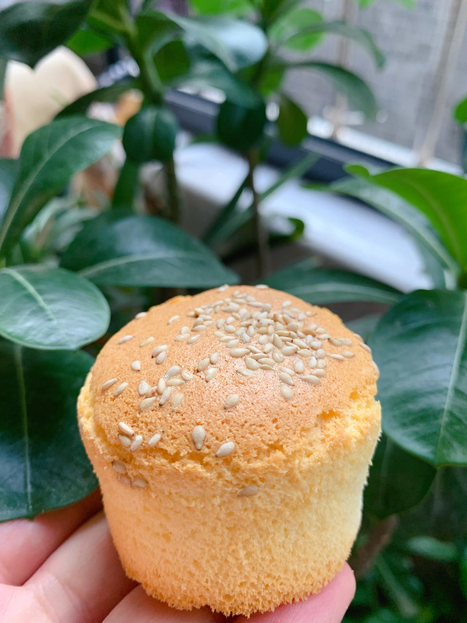 自己动手，丰衣足食