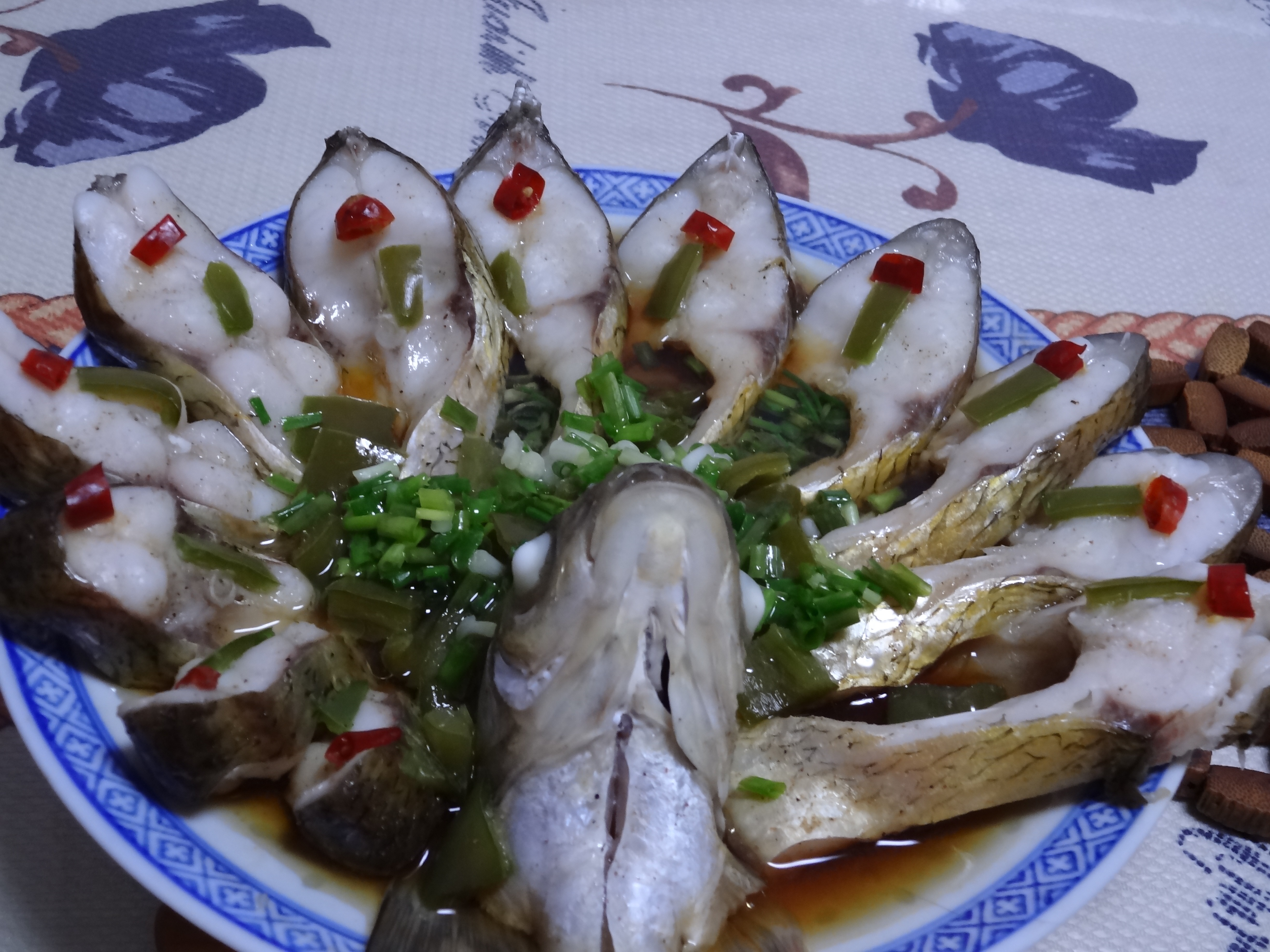 孔雀开屏鱼