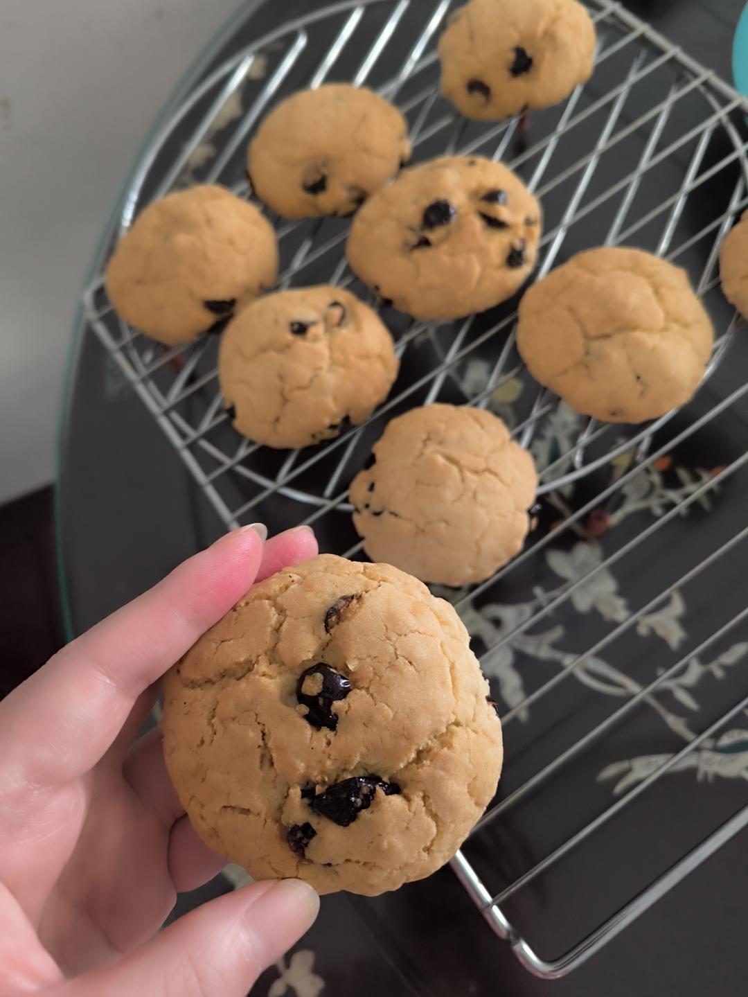 燕麦蔓越莓酥饼