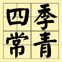 四季常青调味品