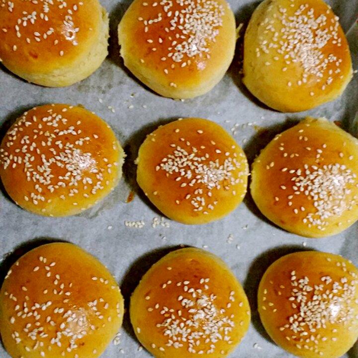 汉堡胚（中种法）