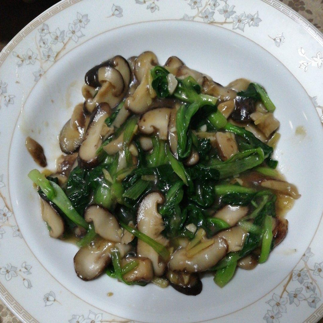 香菇油菜（简单快手）