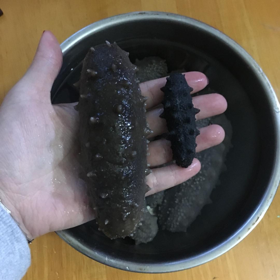 海参泡发攻略