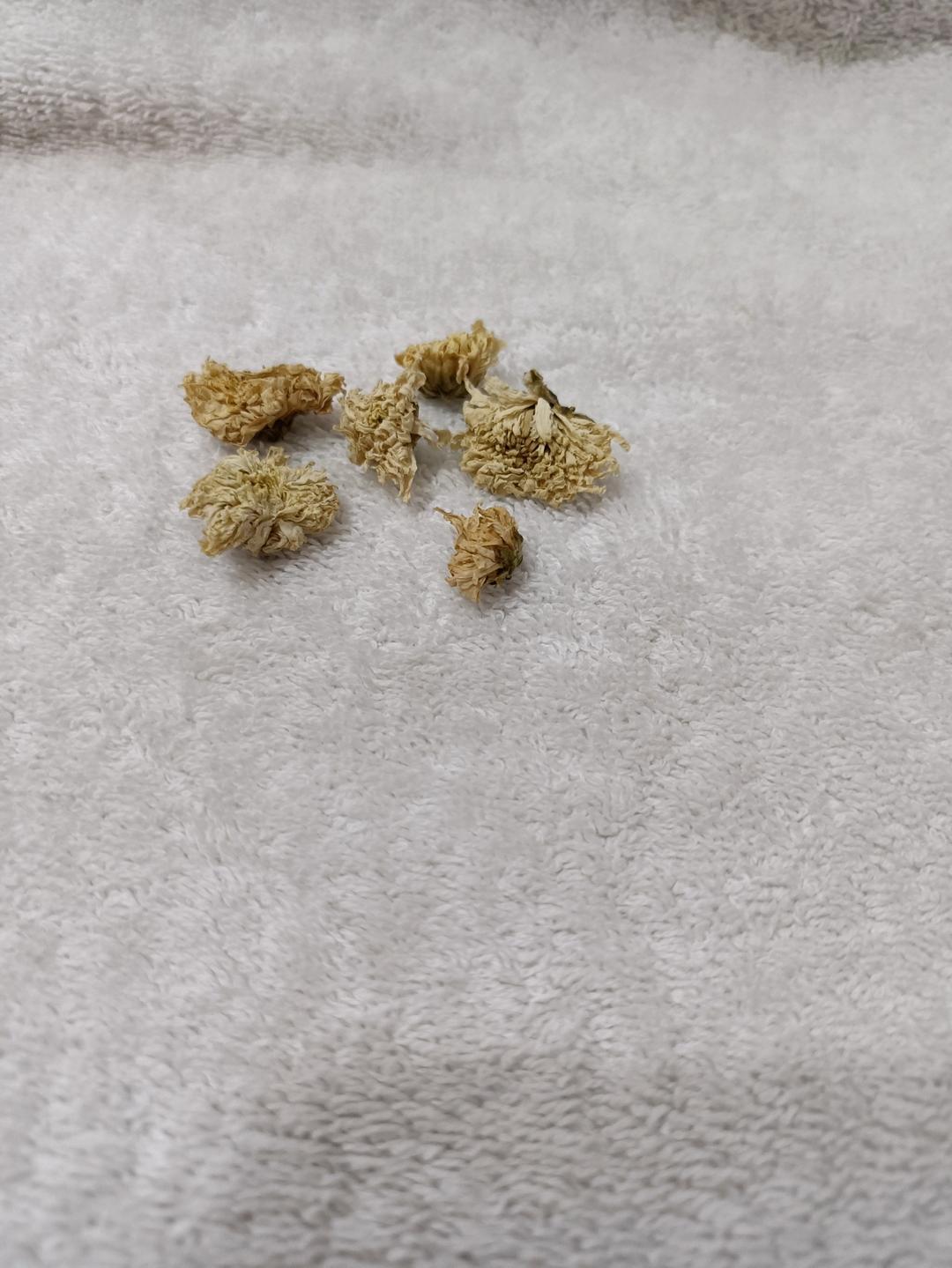 清润降火水果茶【3月北鼎养生壶食谱】