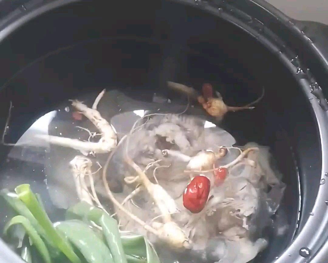 鳖甲鱼汤的做法