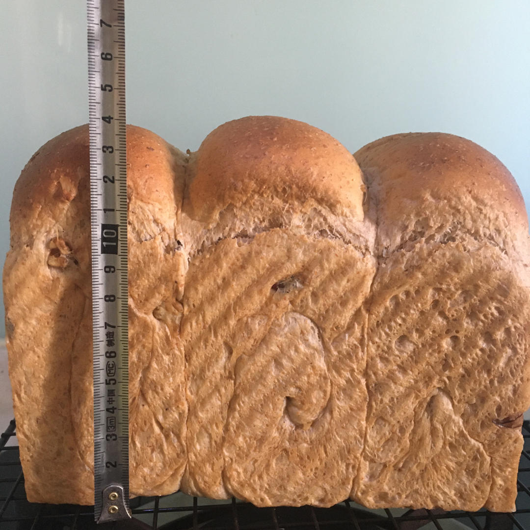 中种吐司（大）