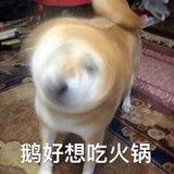 番茄哔啵的厨房