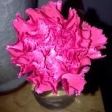9393_0kay