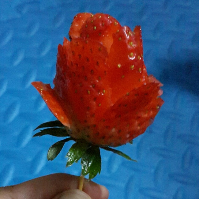 草莓玫瑰花