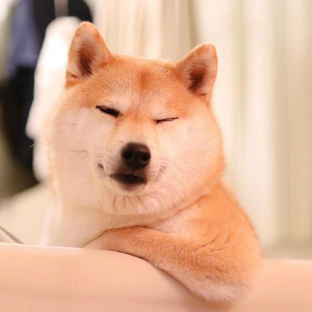 奶香儿