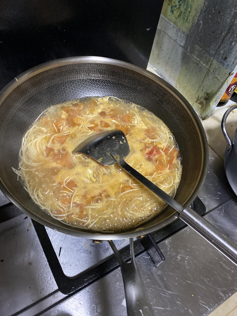 番茄鸡蛋盖浇饭/面（大胃爱丽丝调整版）