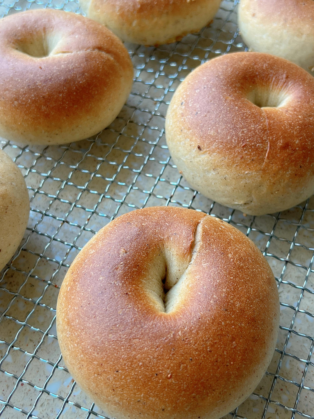 全麦贝果🥯