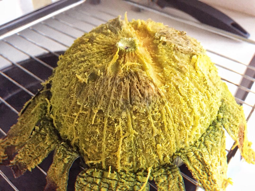 烤贝贝小南瓜（烤箱版）