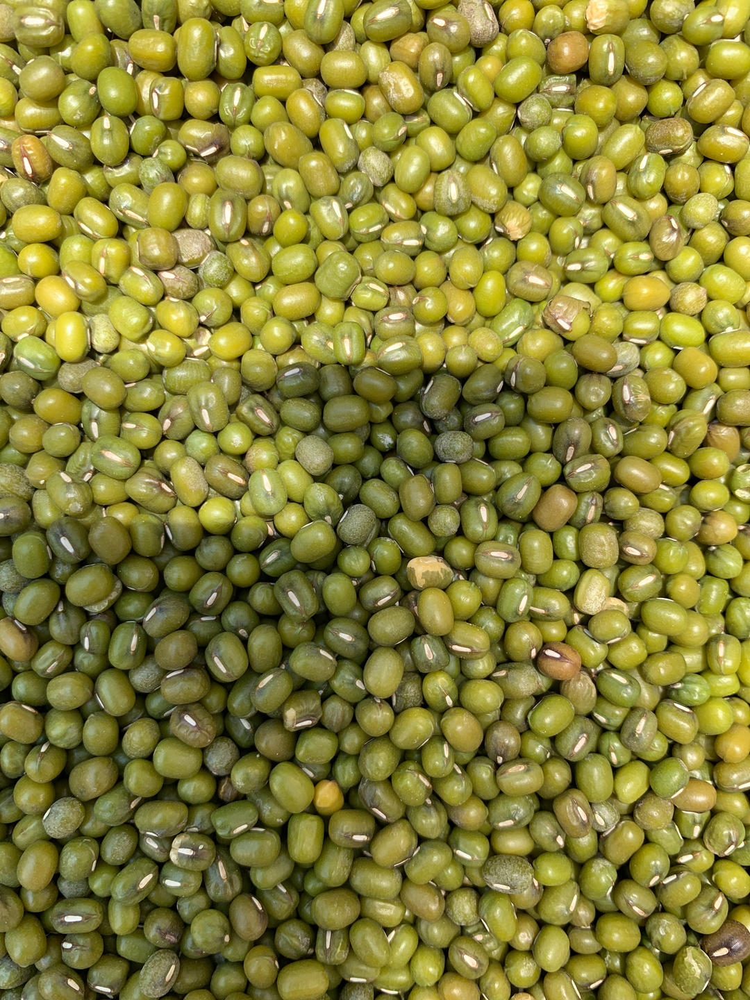 明火高压锅绿豆汤