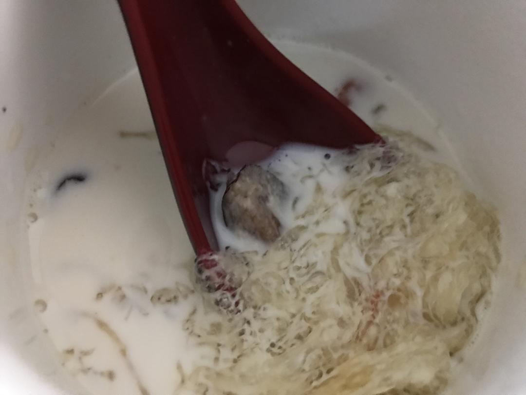 牛奶炖燕窝的做法