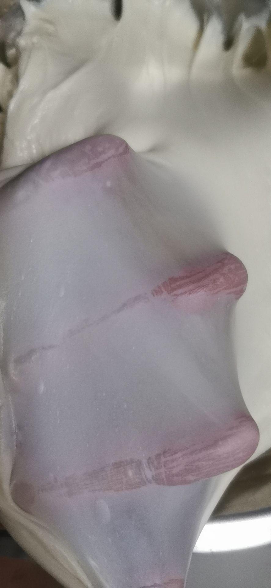 酸奶吐司（100%中种法）可以吃到酸奶的吐司