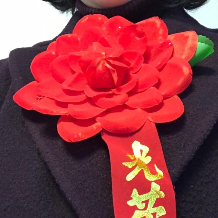 爱吃虾的龟爷爷