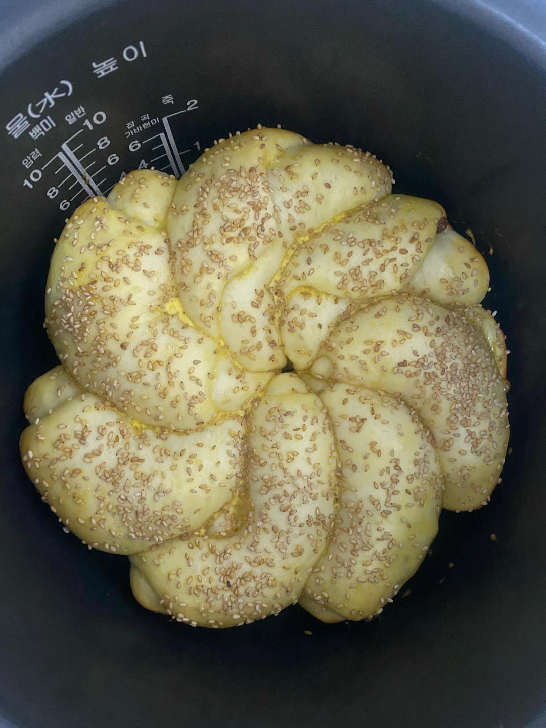 一次醒发的简单电饭锅（电高压锅）面包