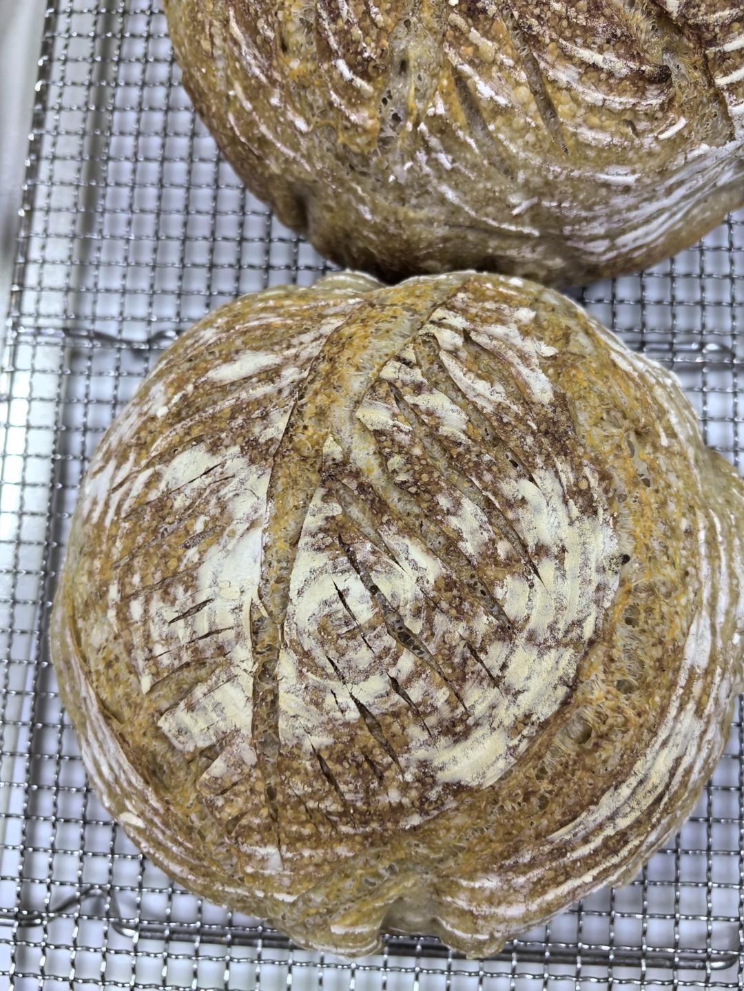 【Tartine Bread】天然酵种基础乡村欧包