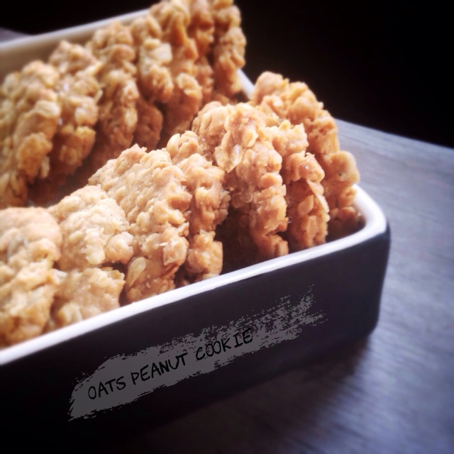 香喷喷的燕麦花生饼