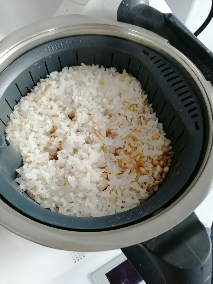 脱糖米饭小美的做法