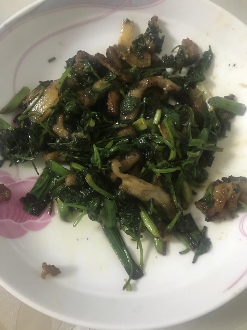 香菜肉渣