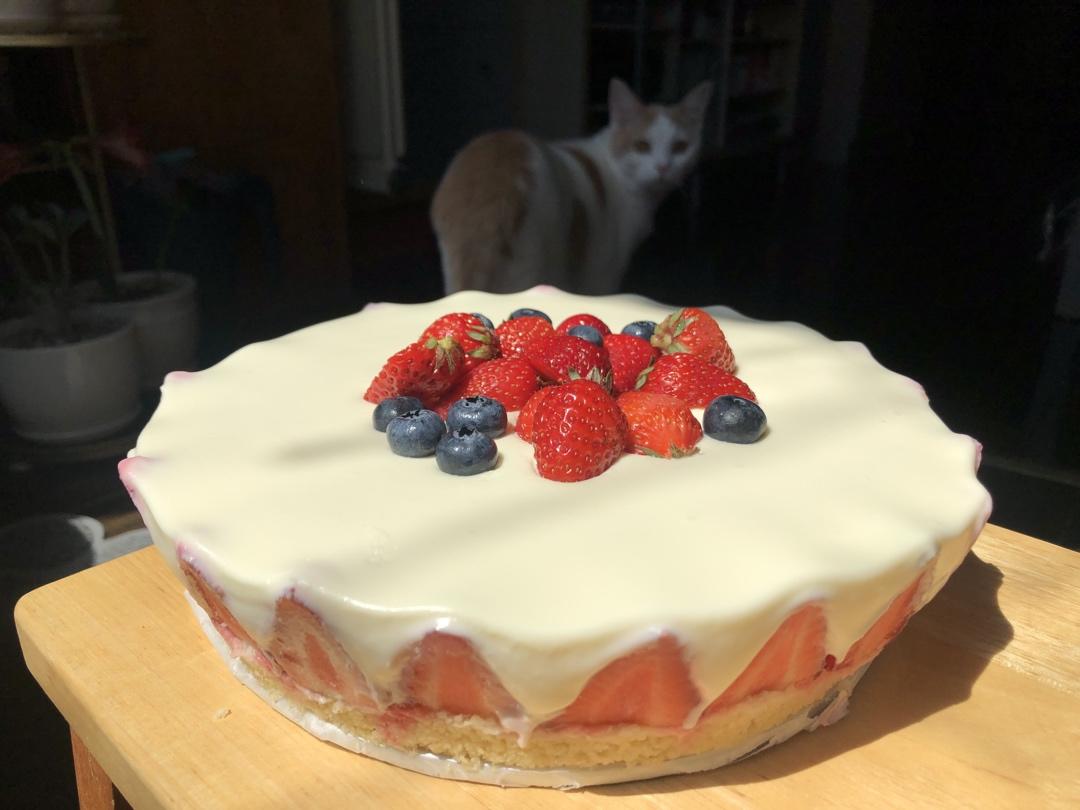 酸奶冻芝士蛋糕【曼食慢语】