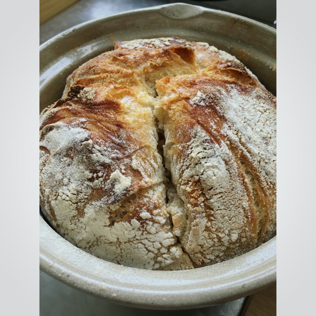 欧包/乡村面包-无油不用揉 No Knead Bread